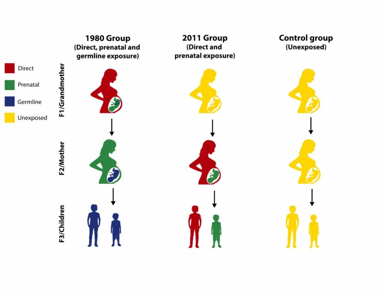 Epigenetic echoes: Violence can leave genetic marks on future ...