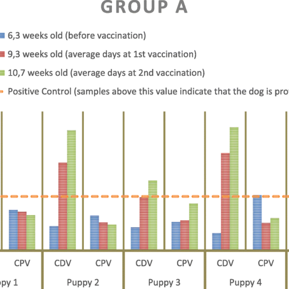 Evaluation of the humoral immune response induced by vaccination ...