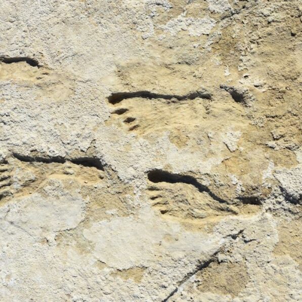 Fossil footprints mark earliest clear evidence of humans in North ...