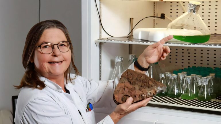 How did life develop on early Earth? New source of nitrogen discovered