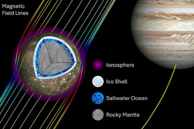 Jupiter's moon Callisto is very likely an ocean world