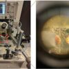 Korean team unveils fine structure of magnons for neuromorphic devices