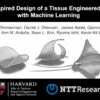 Scientists optimize biohybrid ray development with machine learning