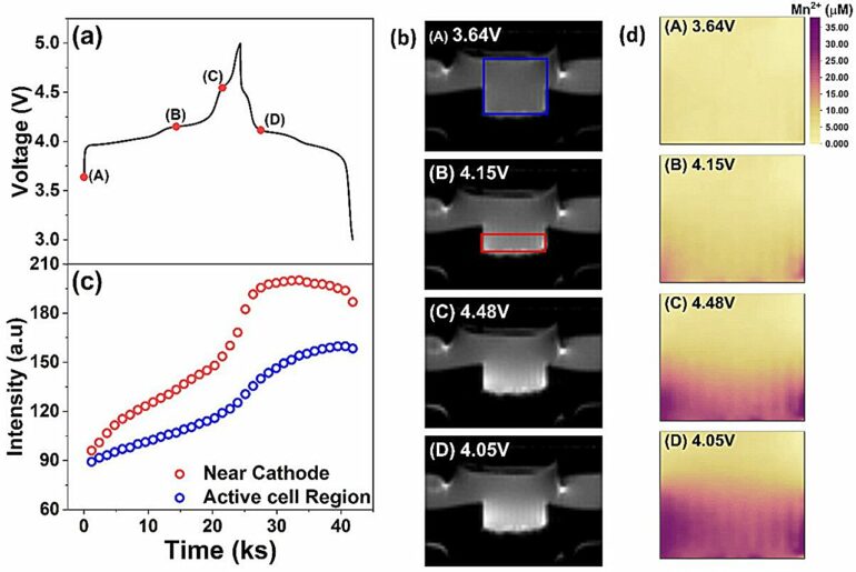 MRI reveals real-time metal-ion dissolution in lithium batteries ...