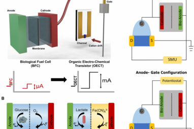 Organic electrochemical transistors enhance bioelectronic sensor ...