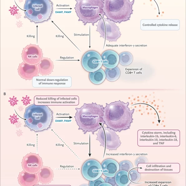 p53 is both your genome's guardian and weakness against cancer ...