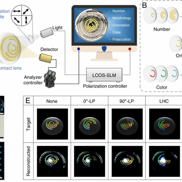 Polymer microdomes reveal tunable chiral structural colors with ...