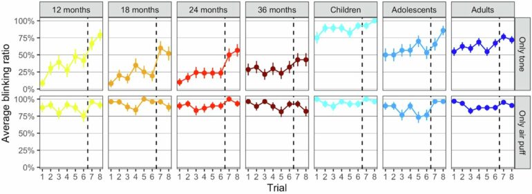 Primary school children outperform all other age groups in ...