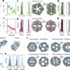 Protein design: Flexible components allow new architectures