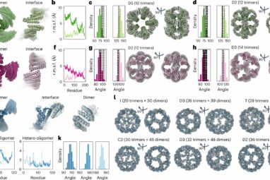 Protein design: Flexible components allow new architectures