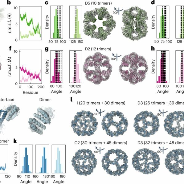 Protein design: Flexible components allow new architectures