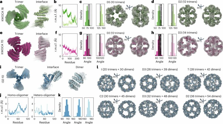 Protein design: Flexible components allow new architectures