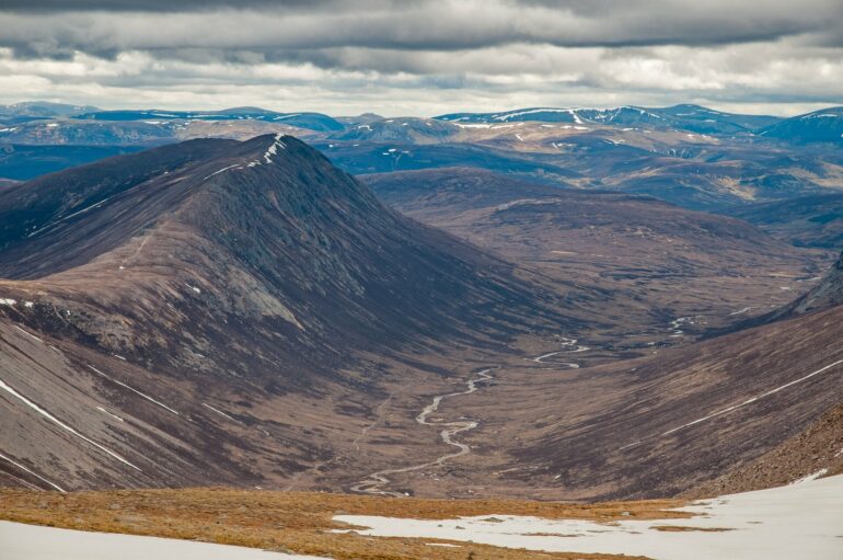 Reintroducing wolves to Scottish Highlands could help address ...
