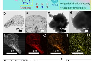 Seawater purification technique outperforms commonly used ...