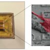 Silicon chip maps 70,000 synaptic connections in neuronal network