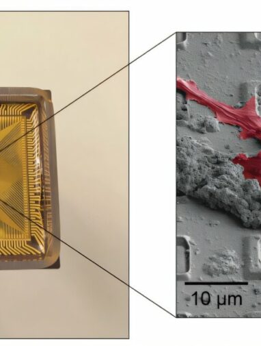 Silicon chip maps 70,000 synaptic connections in neuronal network