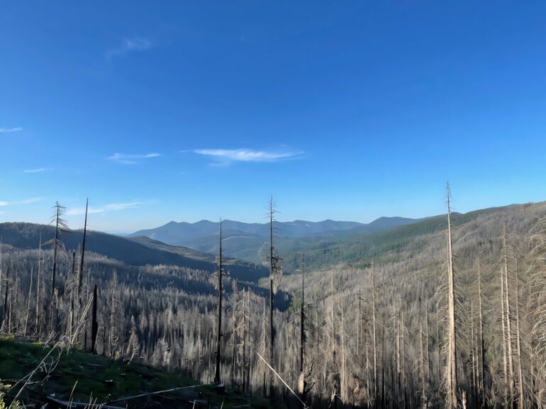 Wildland fires are unpredictable—spaceborne lidar is helping ...
