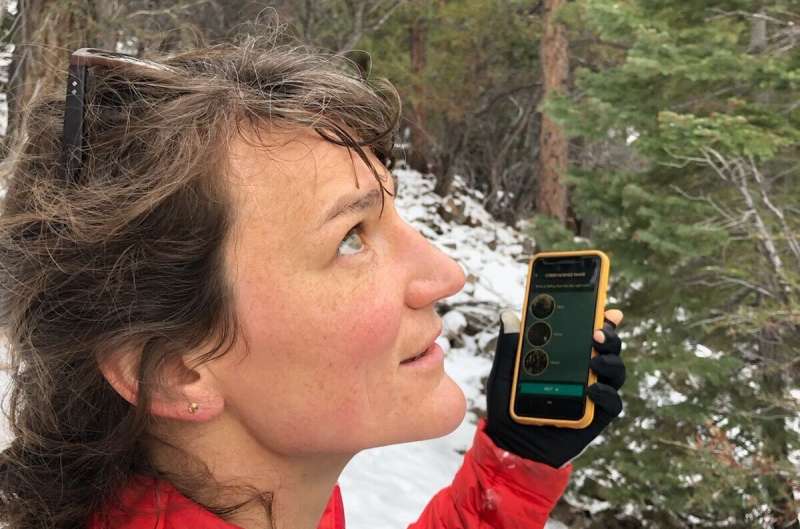 Blurring the line between rain and snow: the limits of meteorological classification