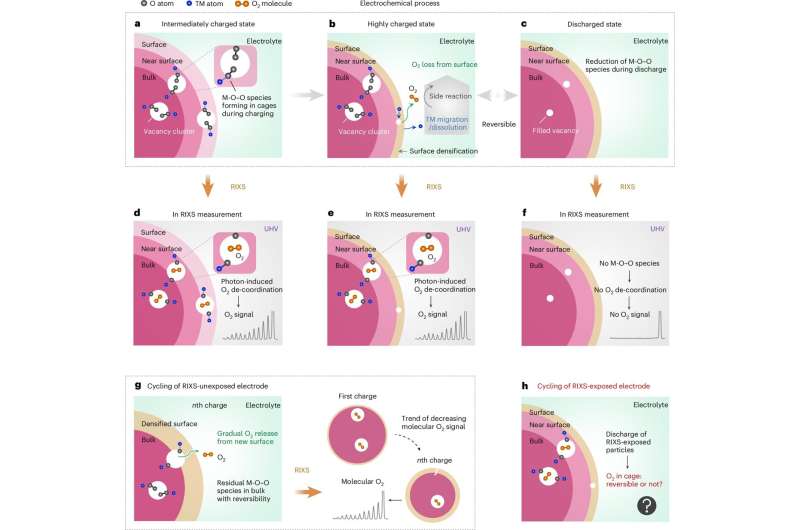 Rescuing next-generation lithium-ion battery technology by discarding long-standing pessimistic hypothesis