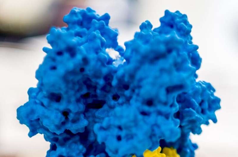 Hearing triggered by molecular "spring"