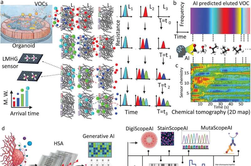 Noninvasive monitoring of molecular processes in deep tissue—approach inspired by insect vision