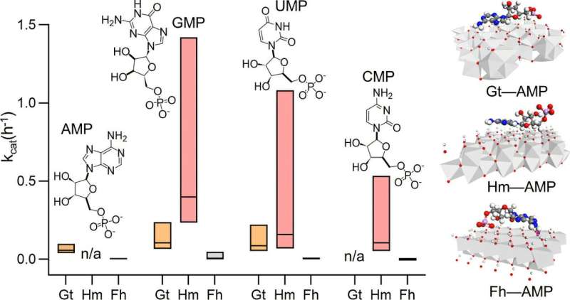 Iron oxides act as natural catalysts to unlock phosphorus to fuel plant growth