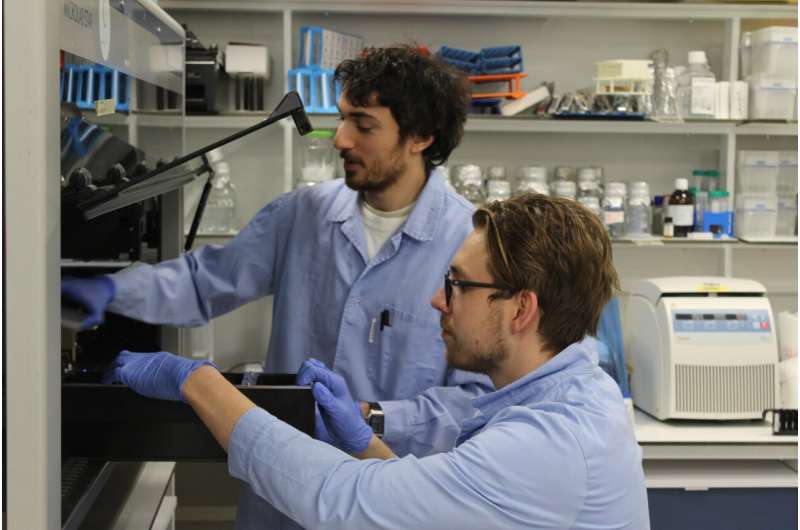 Study uncovers the core principles of low-resistance antibiotics