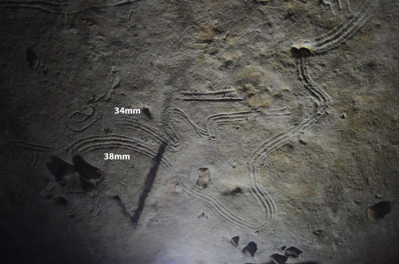Children participated in cave paintings because they were perceived as mediators between the physical and spiritual worlds