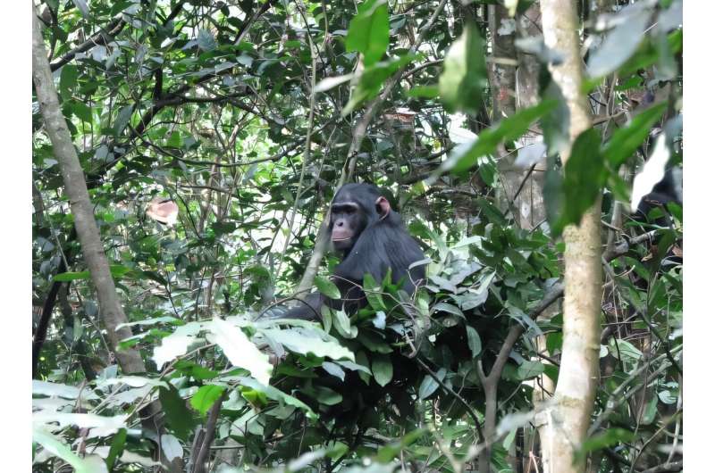 She's better at making her bed