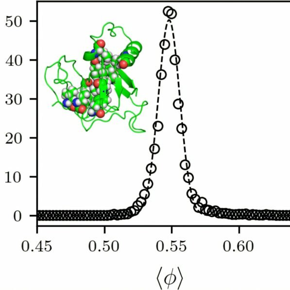 A protein folding mystery solved: Study explains core packing ...