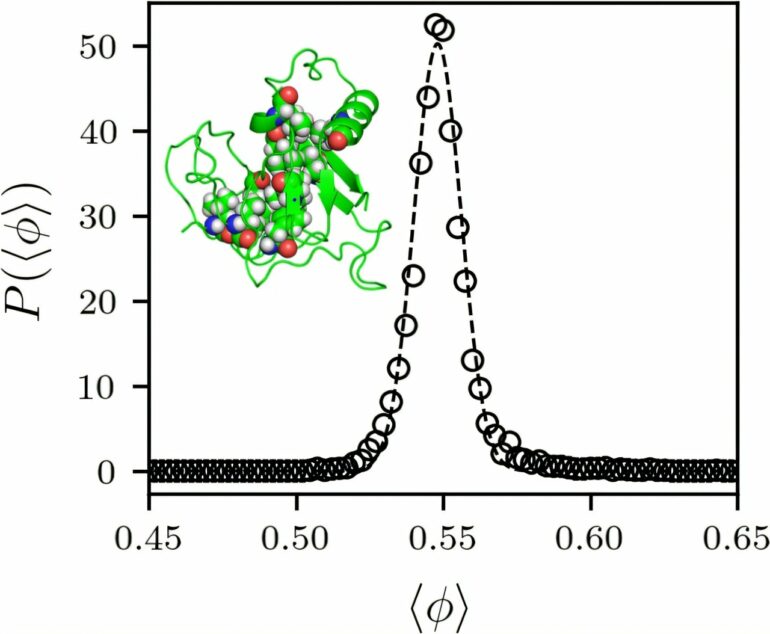 A protein folding mystery solved: Study explains core packing ...