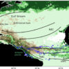 A 'surprising' cause of sargassum blooms in Caribbean: Study ...