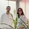 Advancing sorghum science: A drought-resilient crop for ...