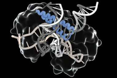 An ancient RNA-guided system could simplify delivery of gene ...