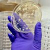 Antimicrobial resistance in soil bacteria without the use of ...