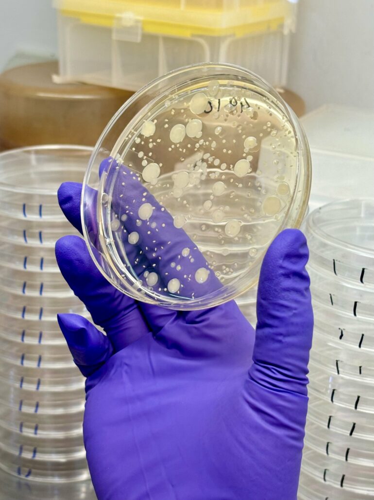 Antimicrobial resistance in soil bacteria without the use of ...