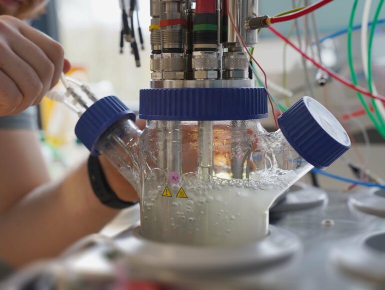 Boosted soil bacterium shows promise for sustainable bioplastic ...