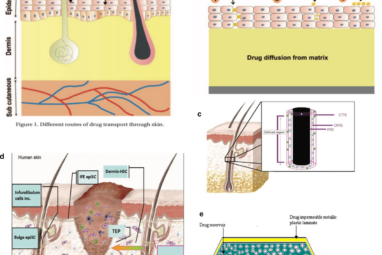 Effects of electrical stimulation on skin surface | Acta Mechanica ...