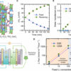 Efficient lithium extraction method could transform battery supply ...