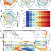 ENSO's impact on linear and nonlinear predictability of Antarctic ...