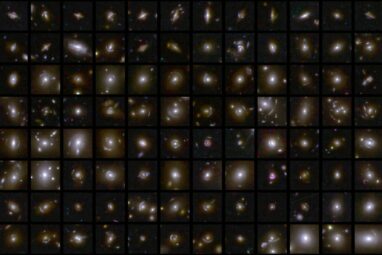 Euclid opens data treasure trove, offers glimpse of deep fields