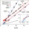 First observation of Bose–Einstein condensation of two-magnon ...