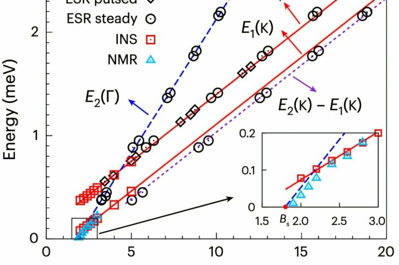 First observation of Bose–Einstein condensation of two-magnon ...