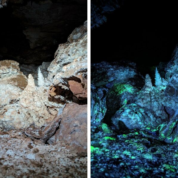 Fluorescent caves could explain how life persists in ...
