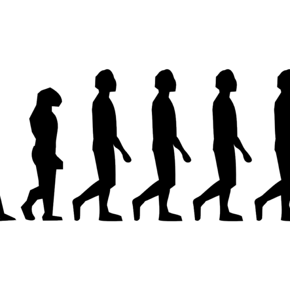 Genetic study reveals hidden chapter in human evolution