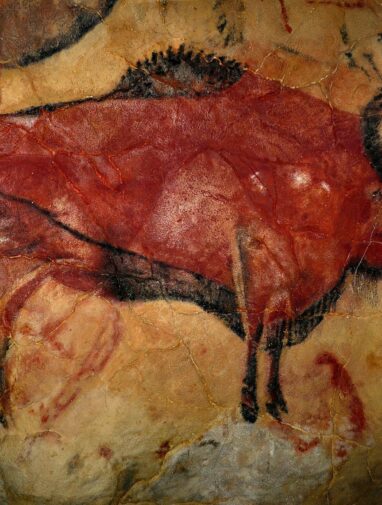 Genomic study indicates our capacity for language emerged 135,000 ...