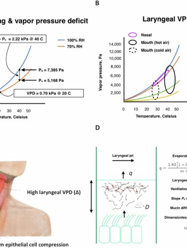 Global warming linked to increased airway inflammation risk