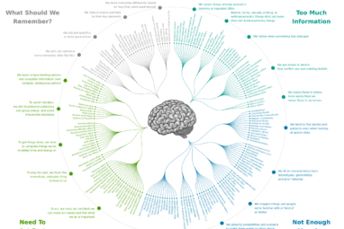 Cognitive bias - Wikipedia