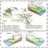 Increased rainfall and vegetation changes result in sediment ...