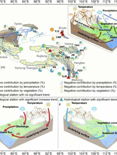 Increased rainfall and vegetation changes result in sediment ...
